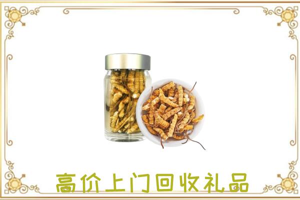 峰峰矿区周边回收虫草